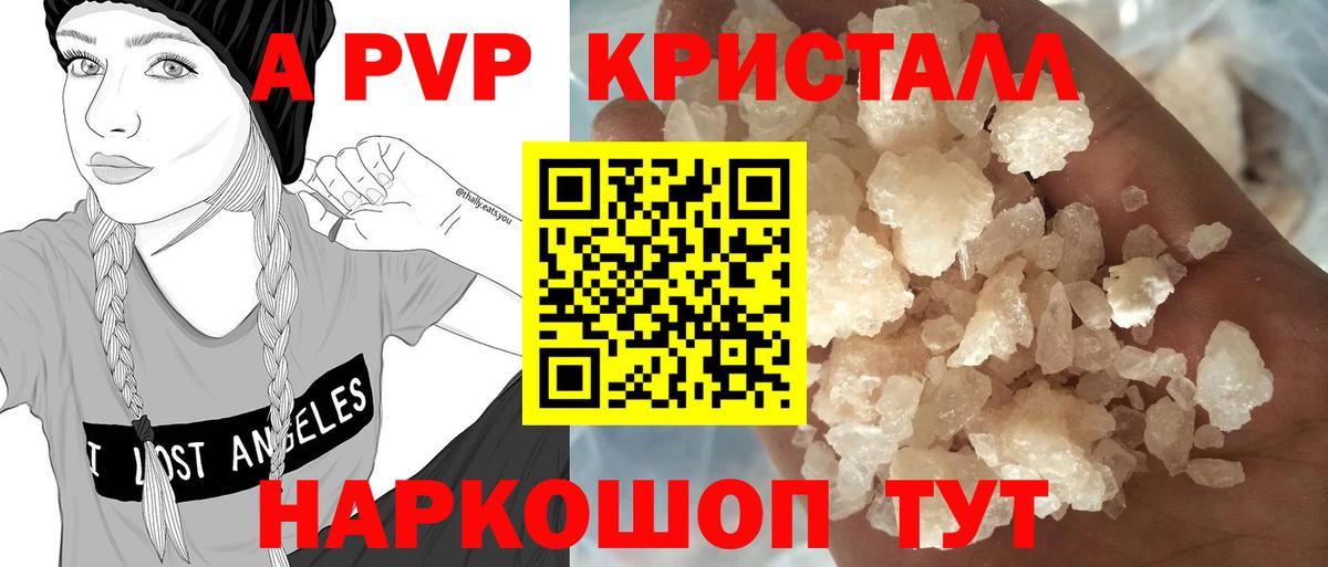 A PVP СК Элиста