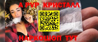 крисы Камышлов