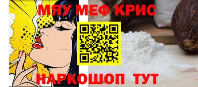 крисы Камышлов