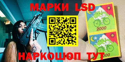 крисы Камышлов