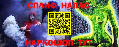 крисы Камышлов