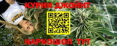 крисы Камышлов