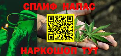 крисы Камышлов
