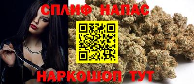 крисы Камышлов