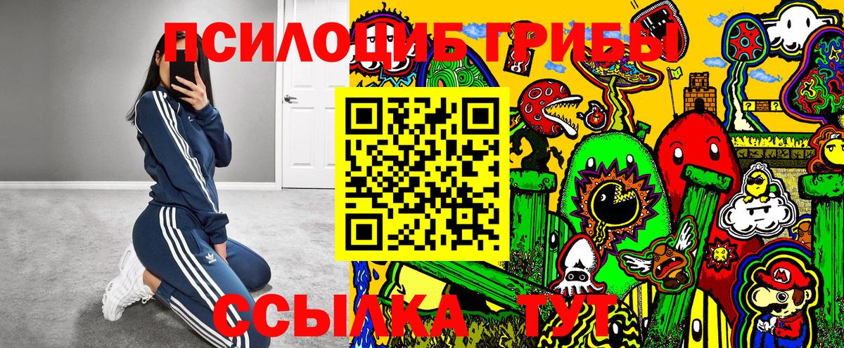 Галлюциногенные грибы GOLDEN TEACHER  Вход с VPN  Элиста 