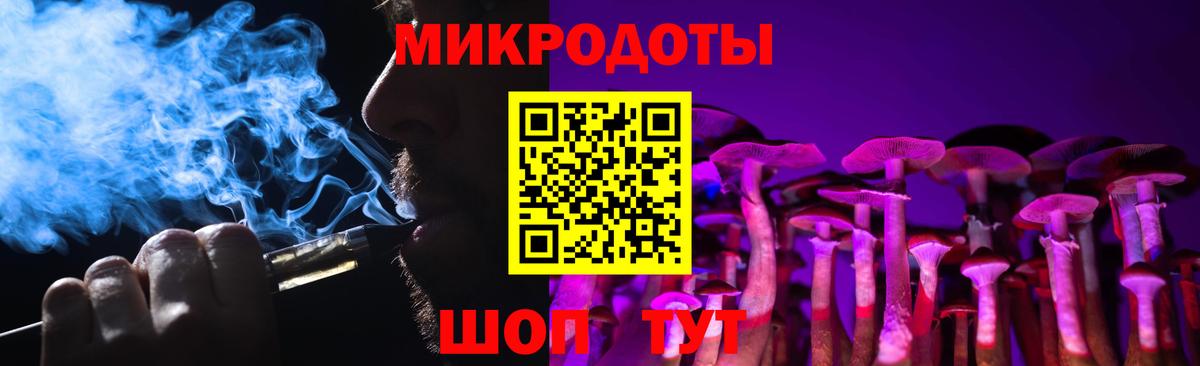 Псилоцибиновые грибы Psilocybe Элиста